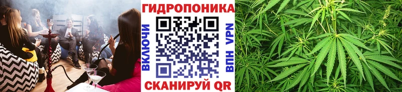 darknet официальный сайт  даркнет сайт  Набережные Челны  МАРИХУАНА семена 